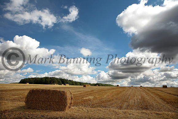 English harvest