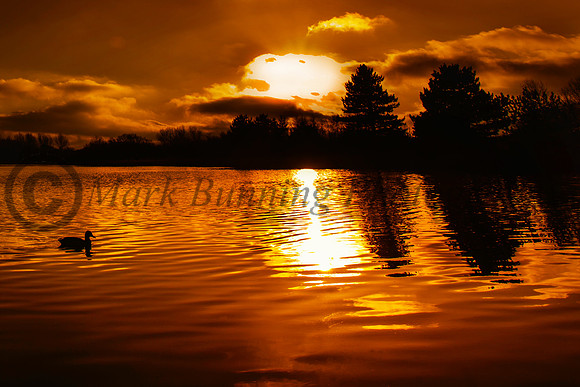 Morning has broken