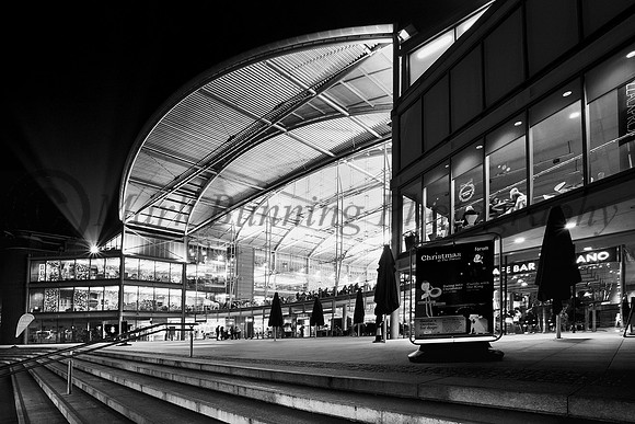 Christmas at the forum