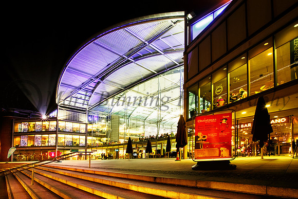 Christmas at the forum