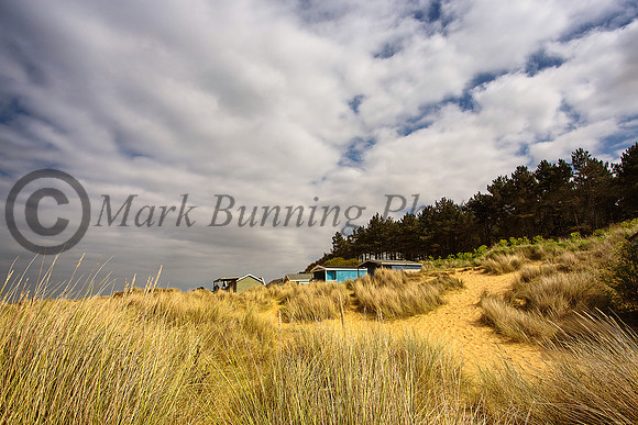 Hunstanton beach huts through the reeds