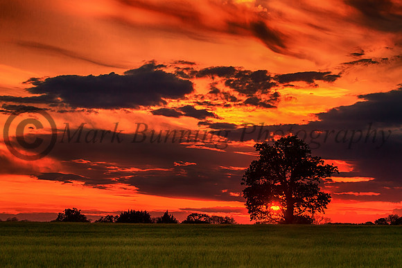 Spring sunset