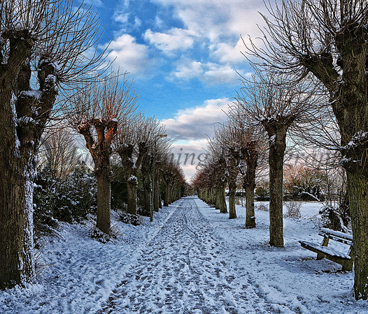 Church walk