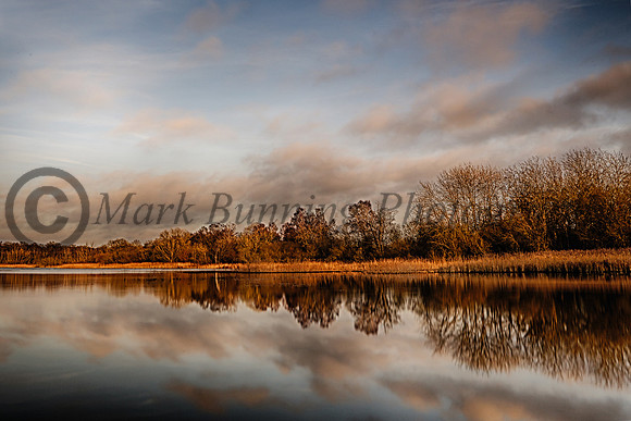 Thompson water 2